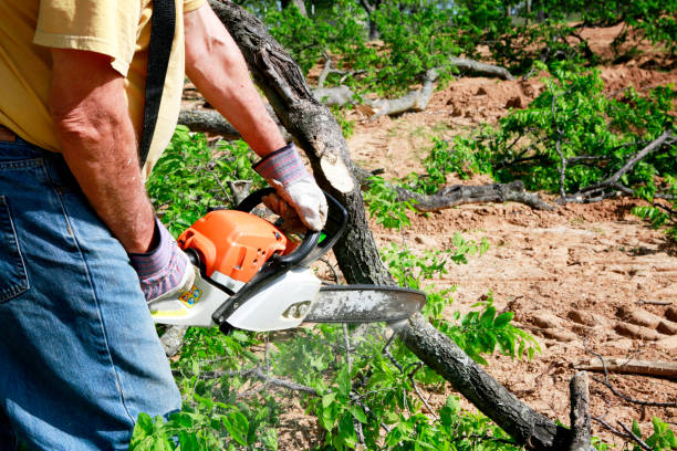 Landscape Design and Installation in Cascades, VA